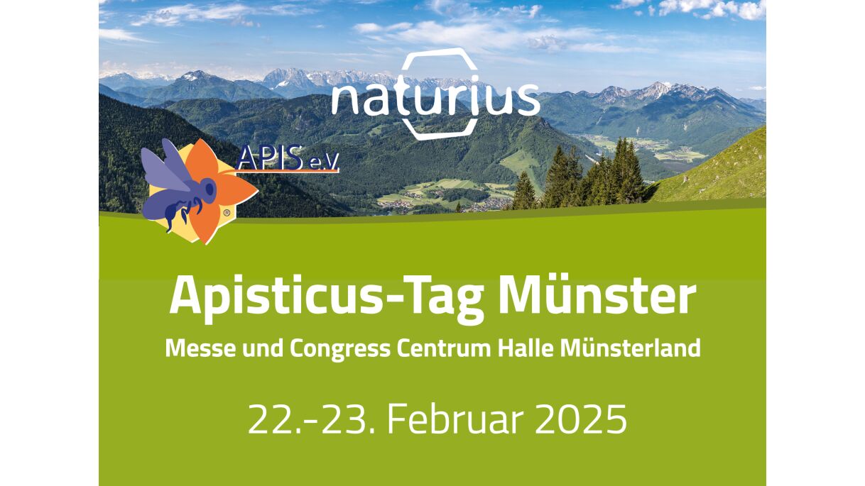 Apisticus Tag Münster 2025 - Apisticus Tag Münster 2025